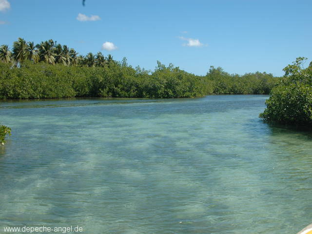 Saona (21).JPG